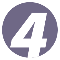  Purple Number 4